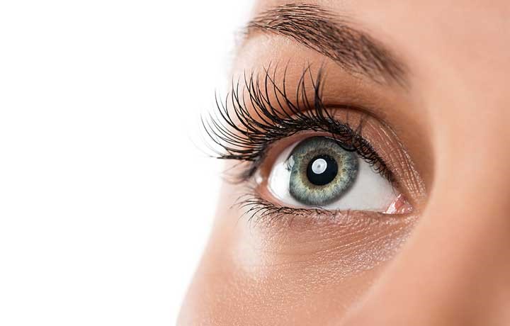Lash and Brow Services