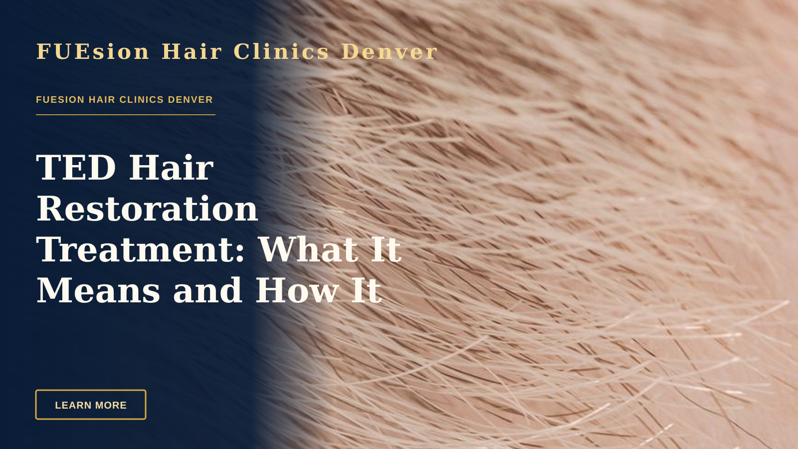 TED Hair Restoration Treatment: What It Means and How It Compares — Full frame closeup of skin with short brown and fair hairs on surface