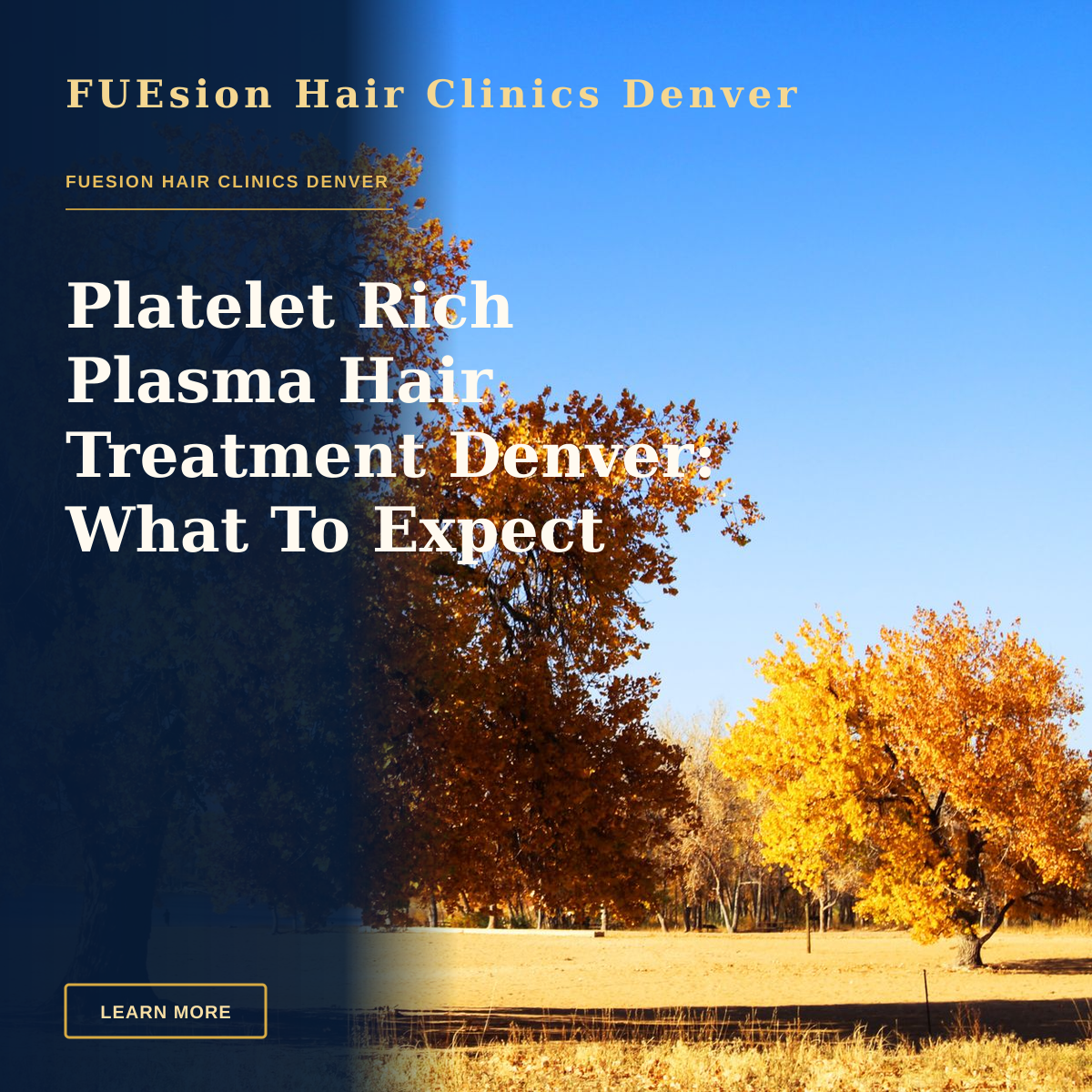 Platelet Rich Plasma Hair Treatment Denver: What To Expect — Stunning autumn landscape with vibrant fall foliage and clear blue sky in Denver, Colorado.
