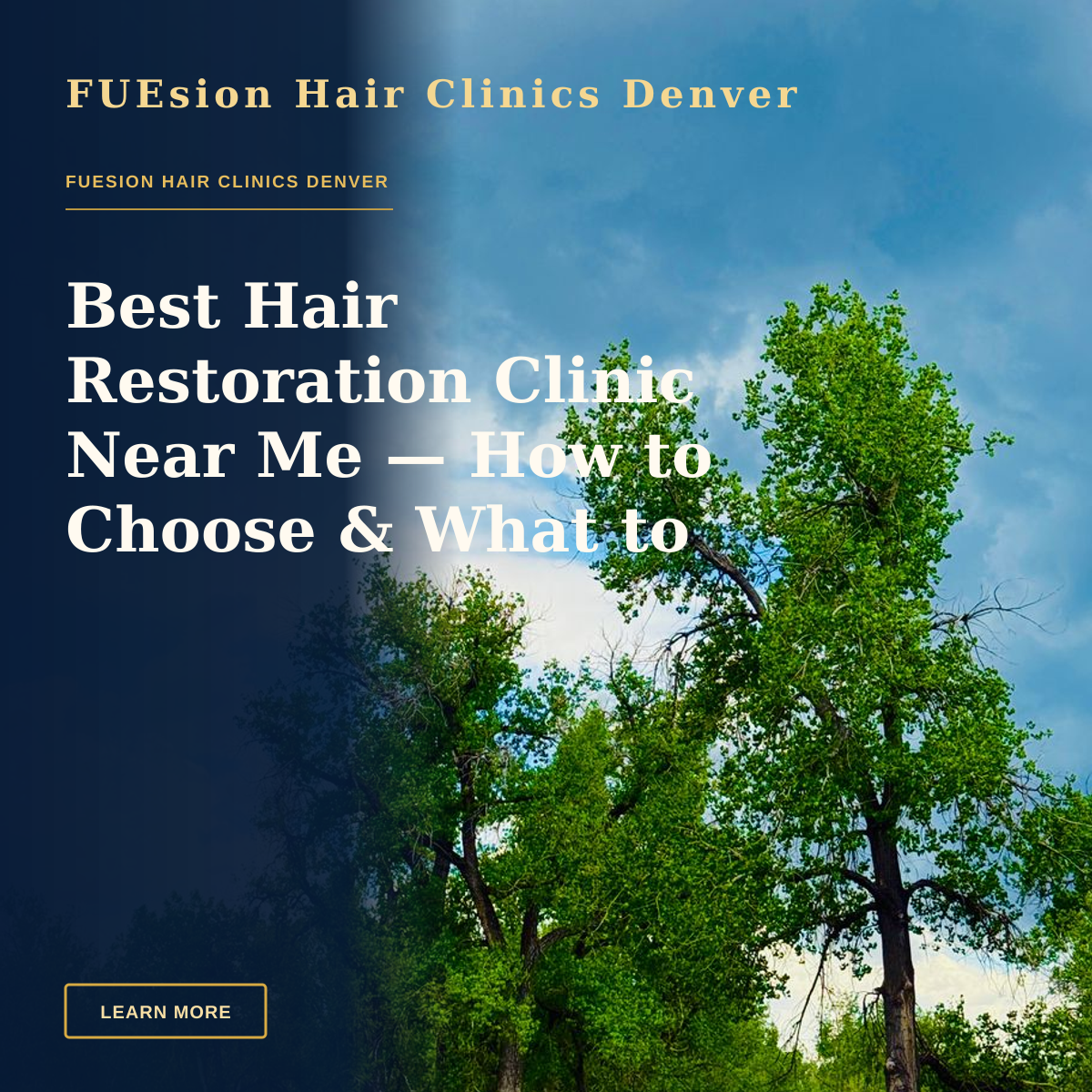 Best Hair Restoration Clinic Near Me — How to Choose & What to Expect — Vibrant green trees in a grassy field under a dramatic cloudy sky, showcasing nature's beauty.