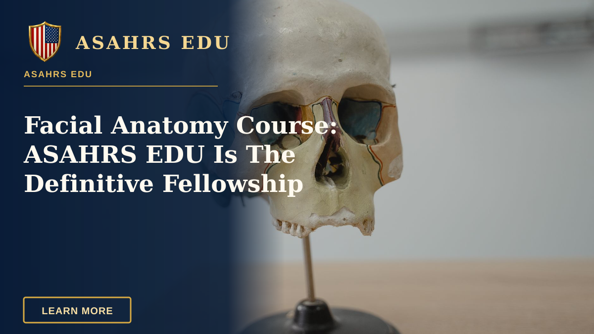 Facial Anatomy Course: ASAHRS EDU Is The Definitive Fellowship — Detailed model of human skull used in biology and anatomy education.