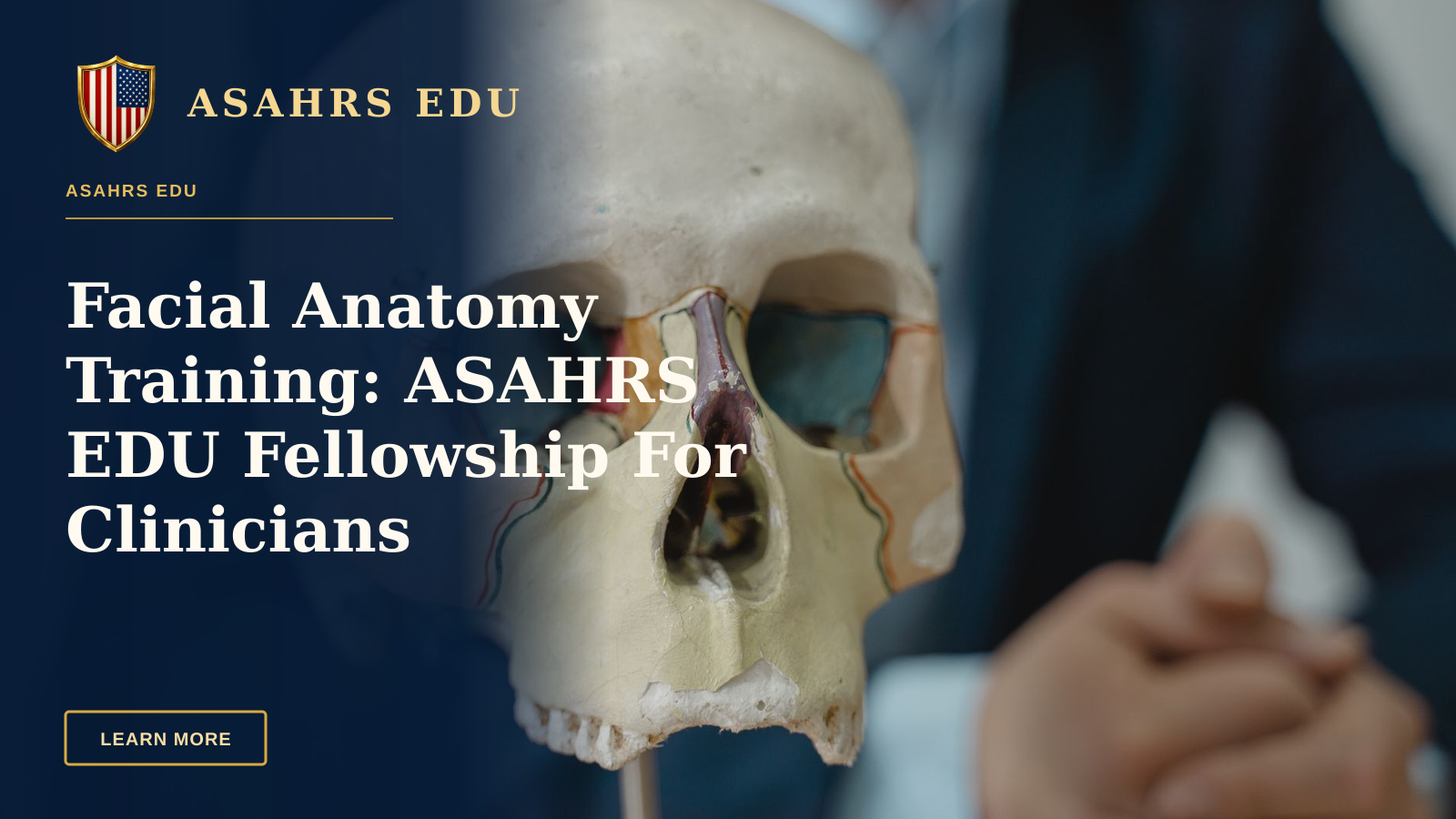 Facial Anatomy Training: ASAHRS EDU Fellowship For Clinicians — Close-up of a colorful anatomical skull model in a classroom setting, ideal for educational purposes.
