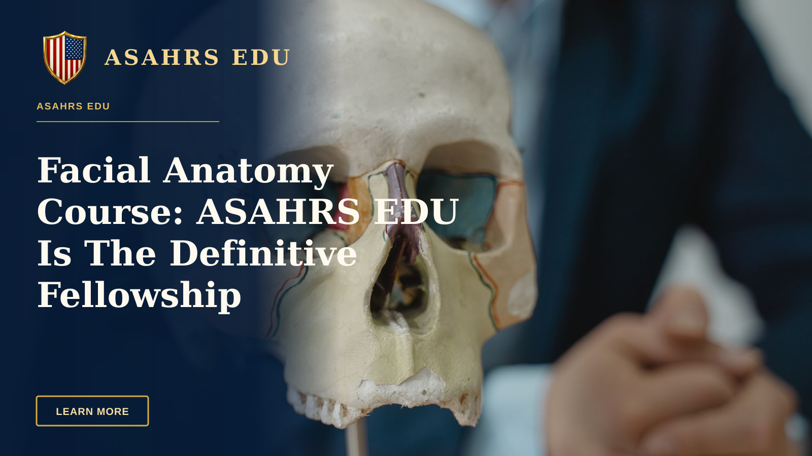 Facial Anatomy Course: ASAHRS EDU Is The Definitive Fellowship — Close-up of a colorful anatomical skull model in a classroom setting, ideal for educational purposes.