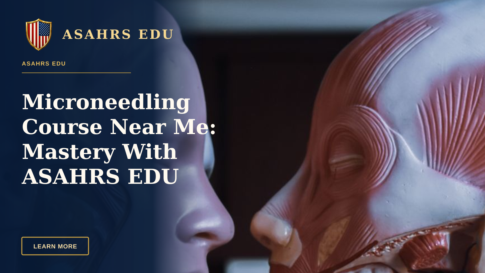 Microneedling Course Near Me: Mastery With ASAHRS EDU — Anatomical models of human body with internal organs and muscular system placed near each other in room