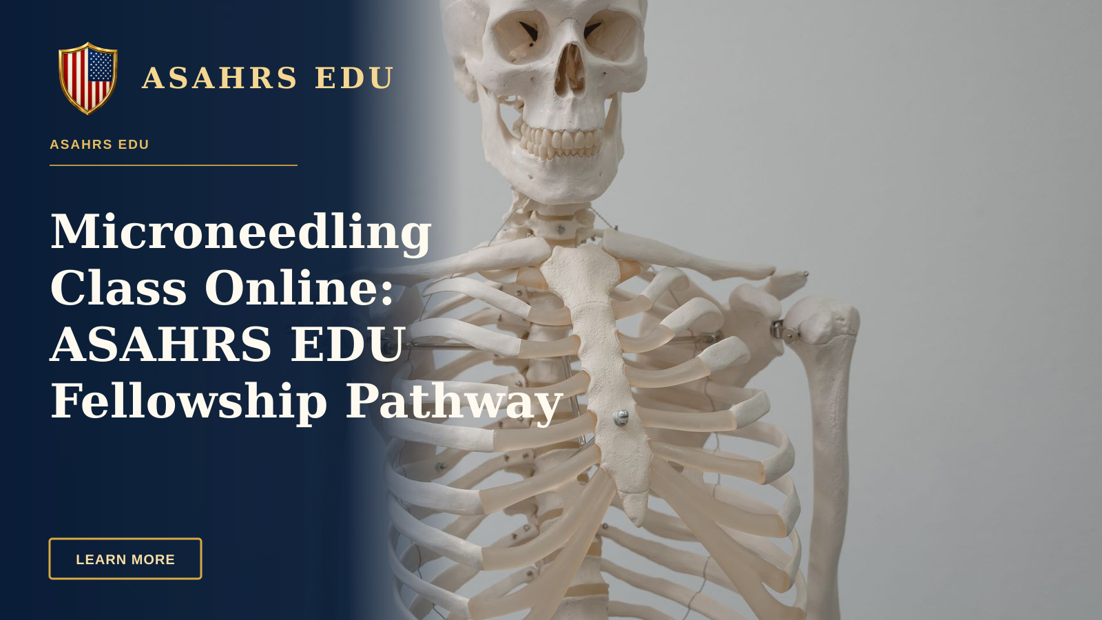 Microneedling Class Online: ASAHRS EDU Fellowship Pathway — Close-up of a human skeleton model used for educational purposes in science and anatomy classes.