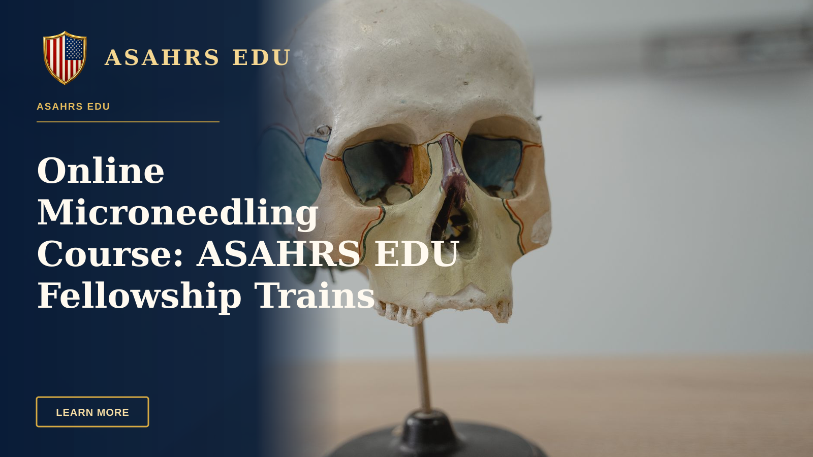 Online Microneedling Course: ASAHRS EDU Fellowship Trains Safely — Detailed model of human skull used in biology and anatomy education.