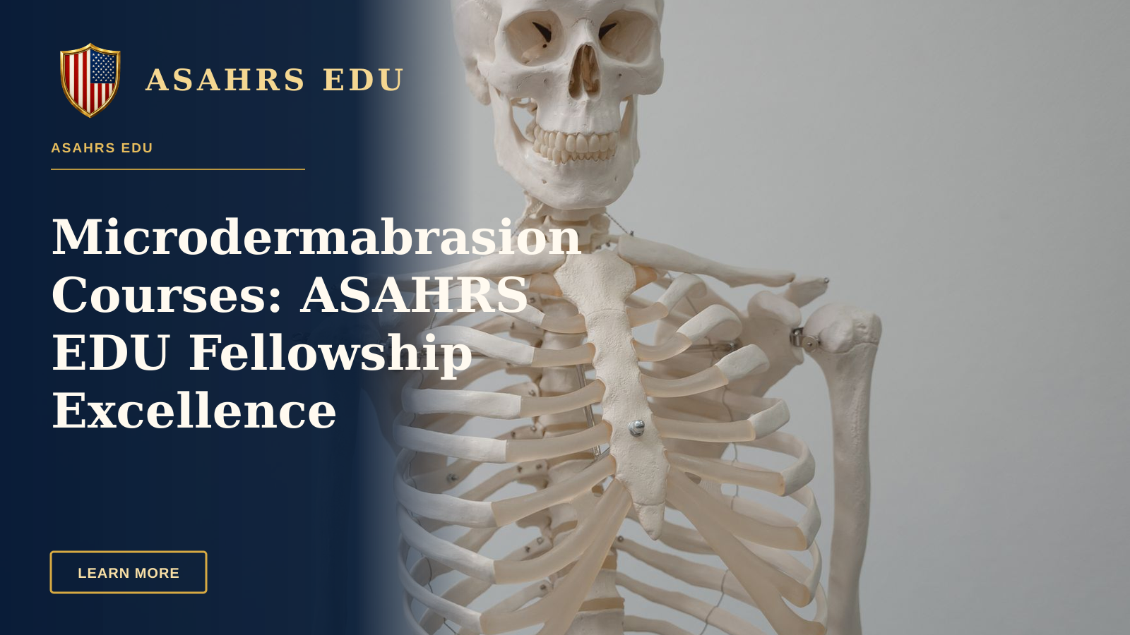 Microdermabrasion Courses: ASAHRS EDU Fellowship Excellence — Close-up of a human skeleton model used for educational purposes in science and anatomy classes.