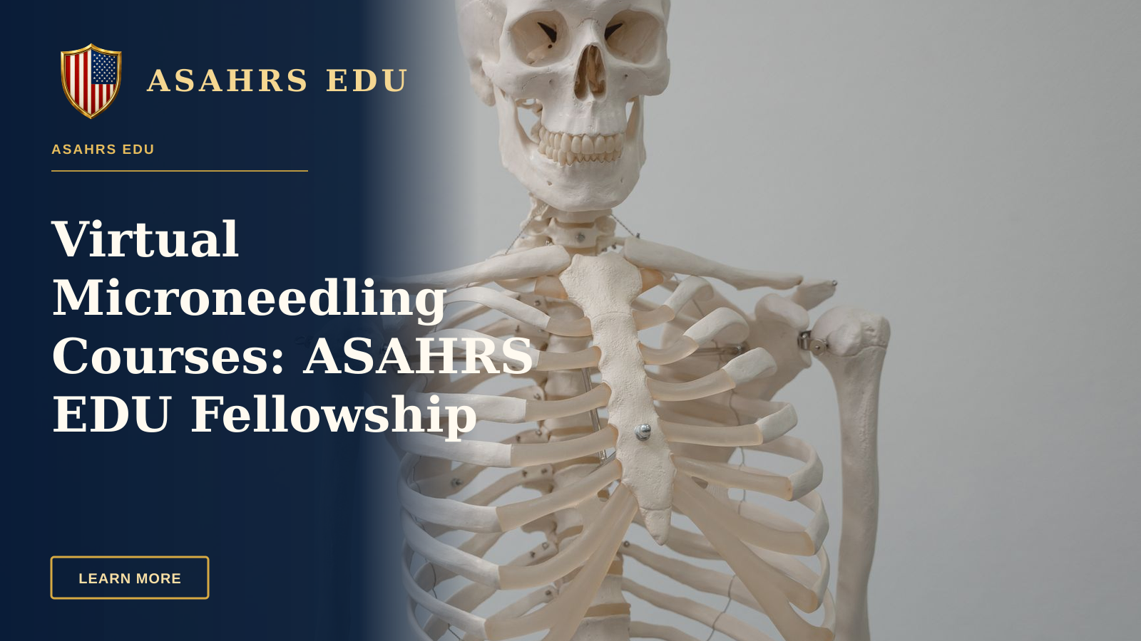 Virtual Microneedling Courses: ASAHRS EDU Fellowship Excellence — Close-up of a human skeleton model used for educational purposes in science and anatomy classes.