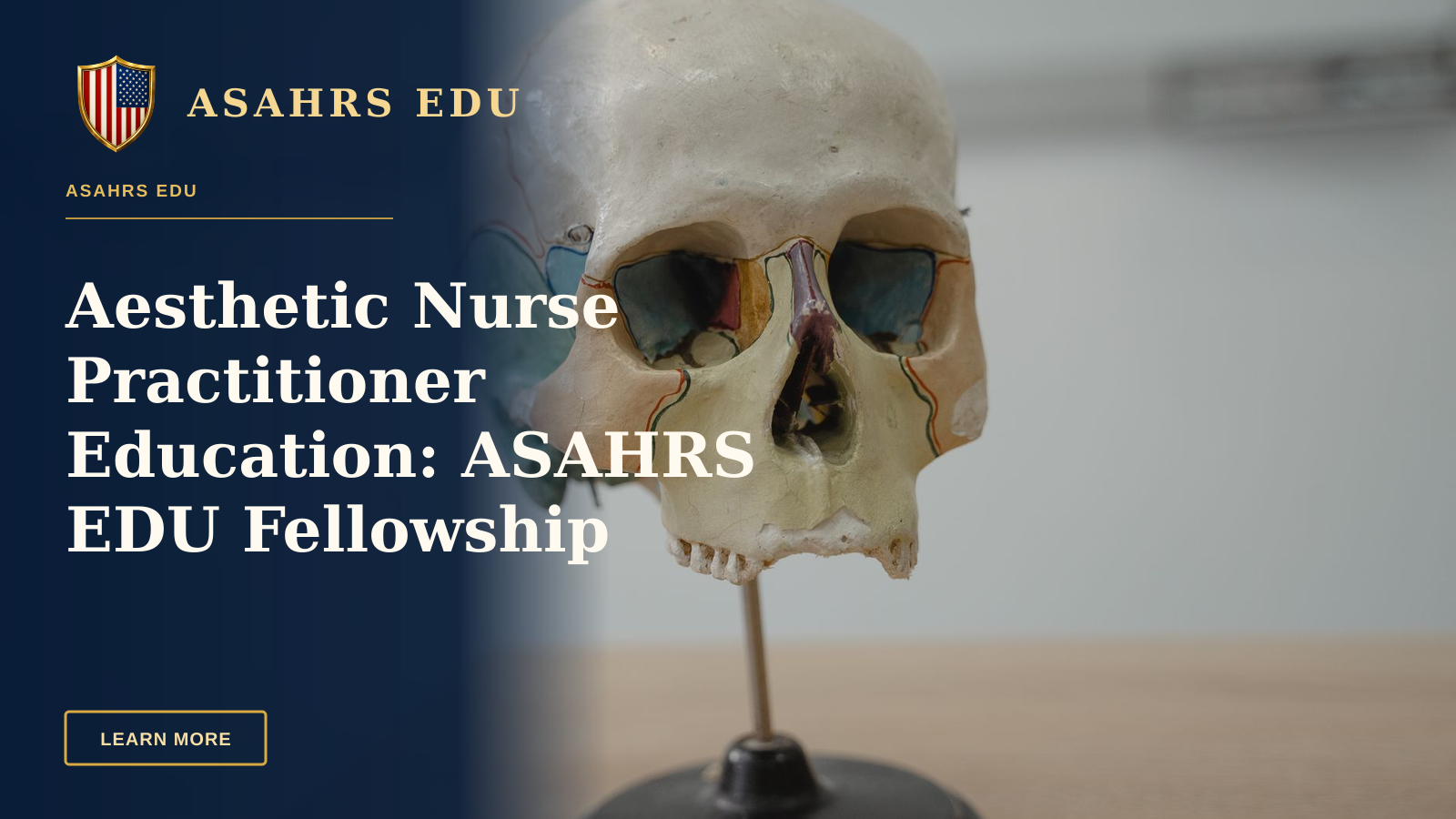 Aesthetic Nurse Practitioner Education: ASAHRS EDU Fellowship — Detailed model of human skull used in biology and anatomy education.