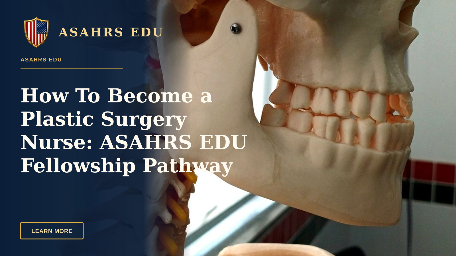 How To Become a Plastic Surgery Nurse: ASAHRS EDU Fellowship Pathway — Close-up of a plastic human skull model used for educational purposes in a classroom setting.