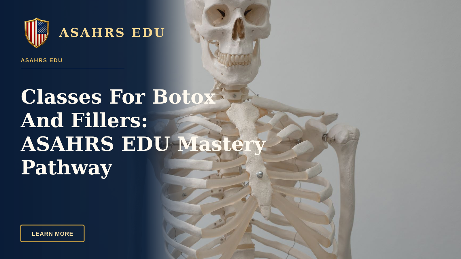 Classes For Botox And Fillers: ASAHRS EDU Mastery Pathway — Close-up of a human skeleton model used for educational purposes in science and anatomy classes.