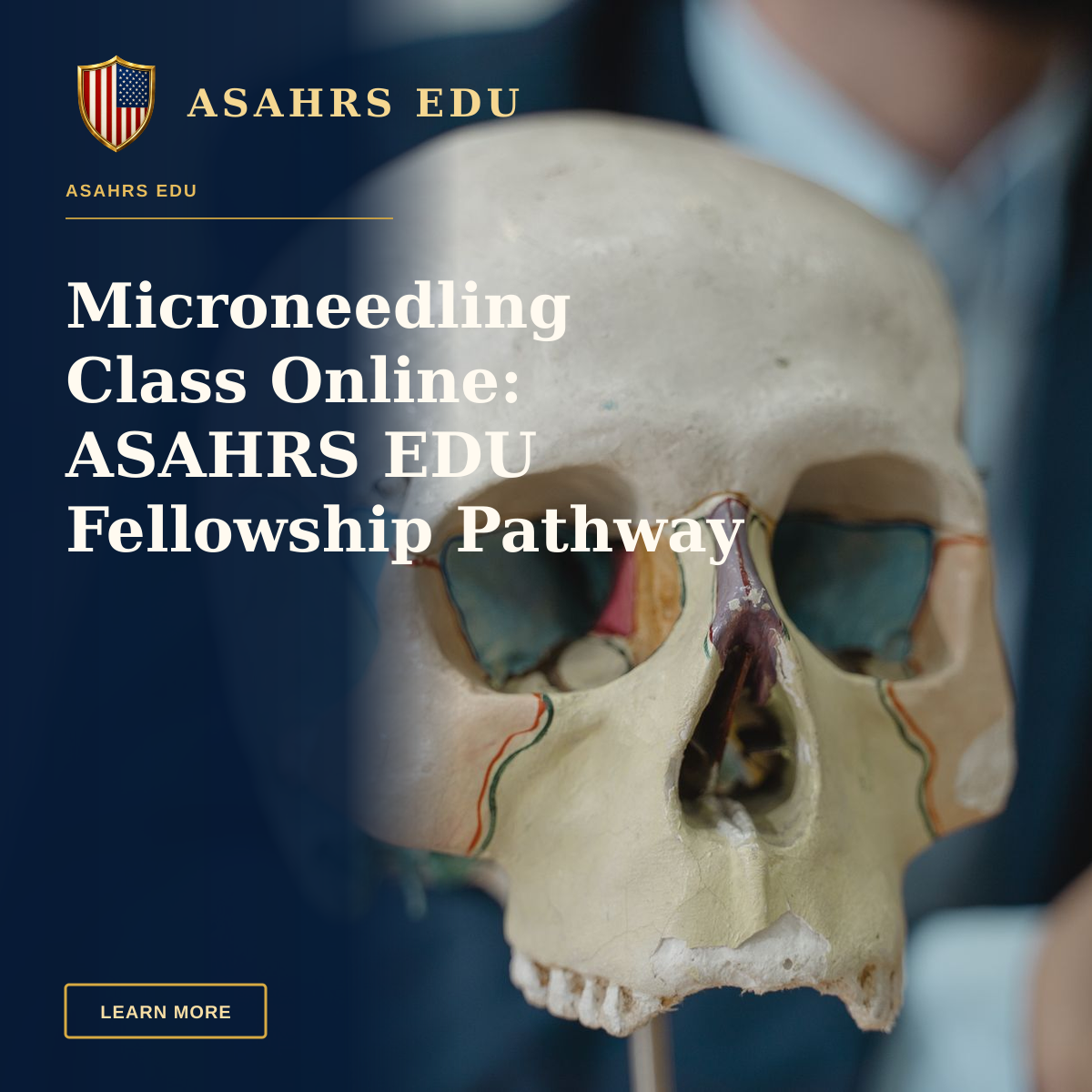 Microneedling Class Online: ASAHRS EDU Fellowship Pathway — Close-up of a colorful anatomical skull model in a classroom setting, ideal for educational purposes.