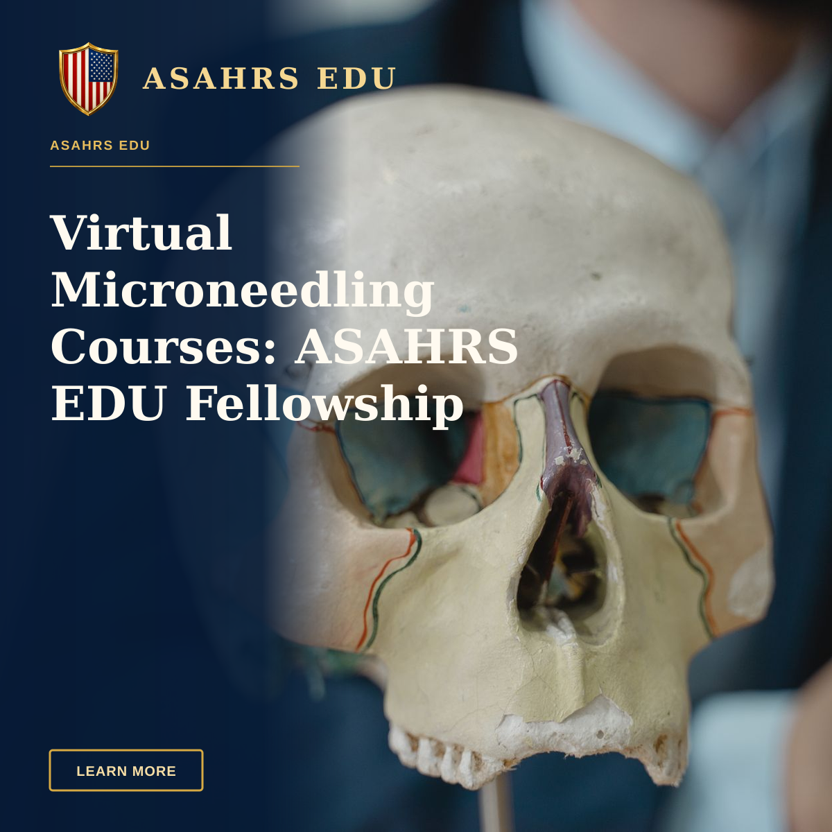 Virtual Microneedling Courses: ASAHRS EDU Fellowship Excellence — Close-up of a colorful anatomical skull model in a classroom setting, ideal for educational purposes.