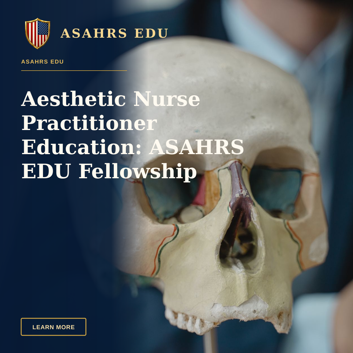 Aesthetic Nurse Practitioner Education: ASAHRS EDU Fellowship — Close-up of a colorful anatomical skull model in a classroom setting, ideal for educational purposes.