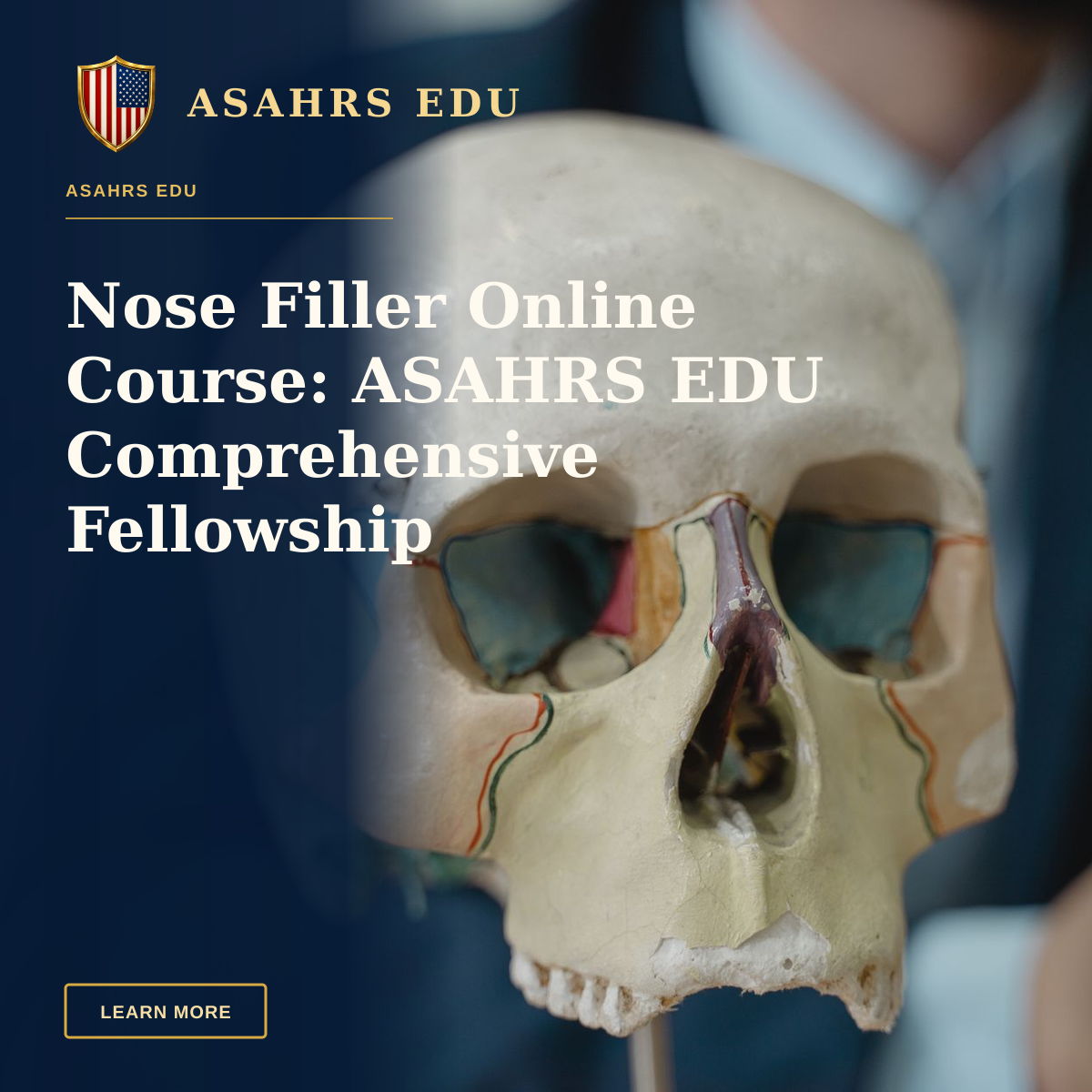 Nose Filler Online Course: ASAHRS EDU Comprehensive Fellowship — Close-up of a colorful anatomical skull model in a classroom setting, ideal for educational purposes.