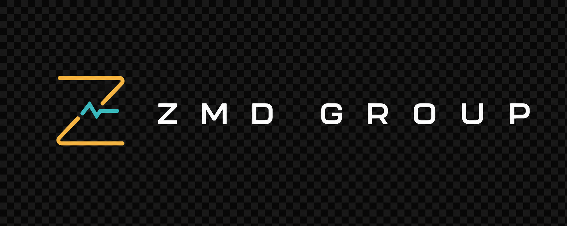 ZMD Group — Physician-Led Integrated Healthcare Platform