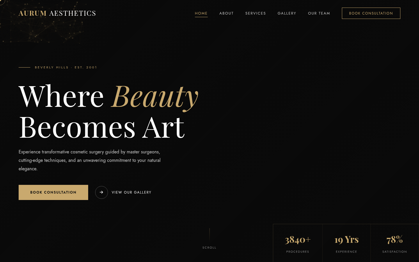 Dark Theme Aesthetics Clinic